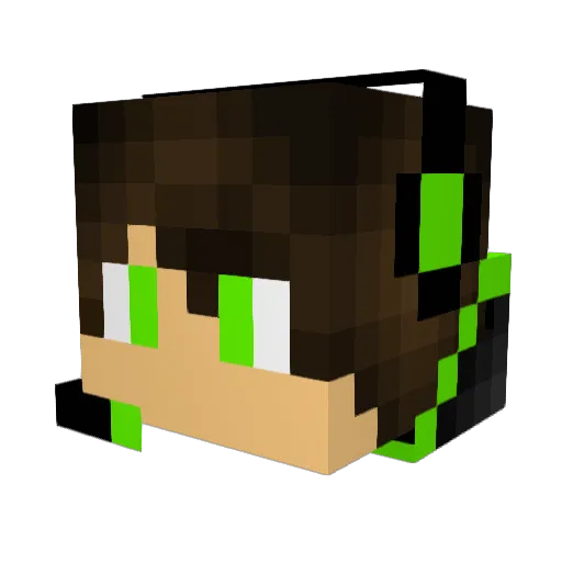 cooli3000 Minecraft avatar head, 3D render