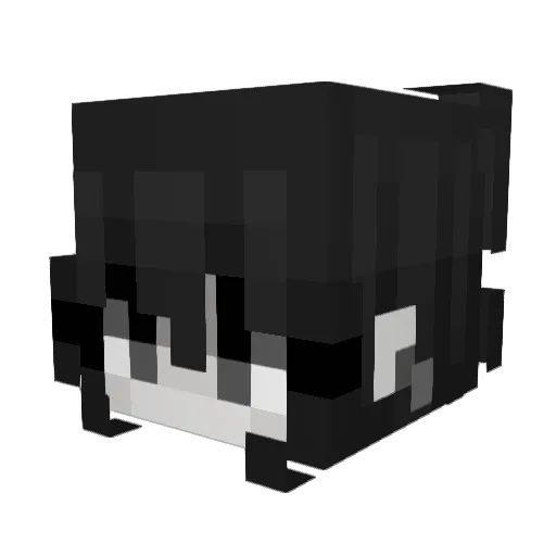 coolid Minecraft avatar head, 3D render