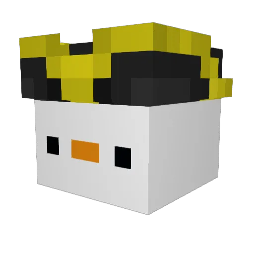 coolin_314 Minecraft avatar head, 3D render
