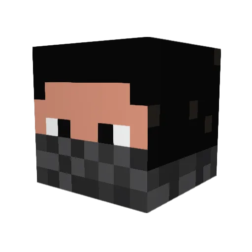 coolio2447 Minecraft avatar head, 3D render