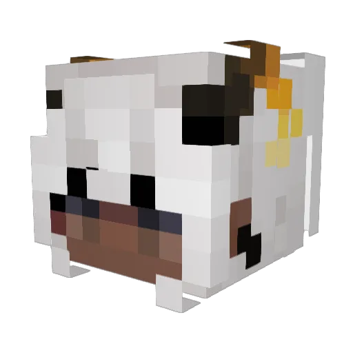 cooliodane Minecraft avatar head, 3D render