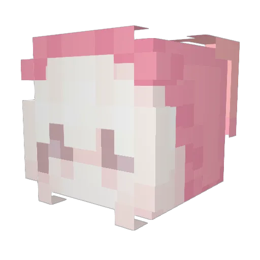 cooliofango Minecraft avatar head, 3D render