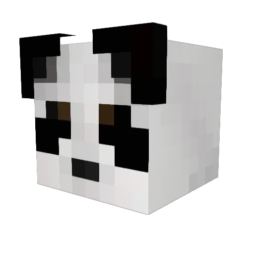 cooljake987 Minecraft avatar head, 3D render
