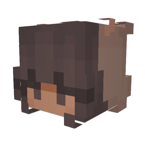 coolkav19 Minecraft avatar head, 3D render