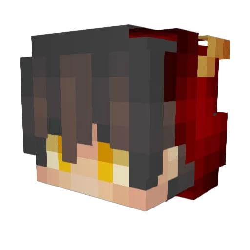 coolkid0706 Minecraft avatar head, 3D render
