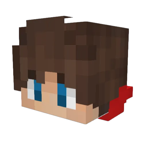 coolkid1004 Minecraft avatar head, 3D render
