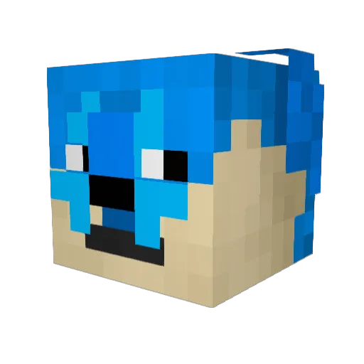 coolkid200611 Minecraft avatar head, 3D render