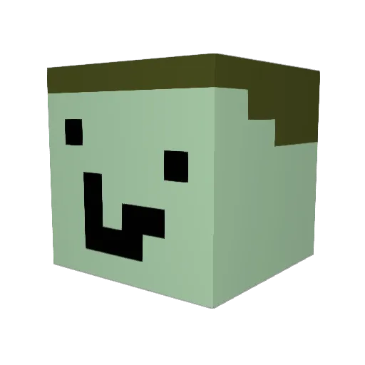 coolkid4728 Minecraft avatar head, 3D render