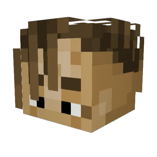 coolkid9993 Minecraft avatar head, 3D render