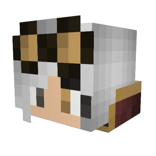 coolkiddo789 Minecraft avatar head, 3D render