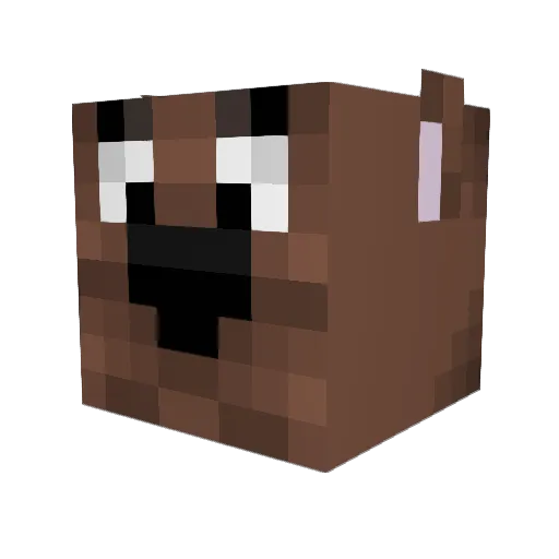 coolkidjo Minecraft avatar head, 3D render