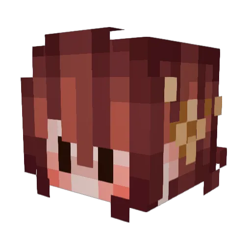 coolkidz222 Minecraft avatar head, 3D render