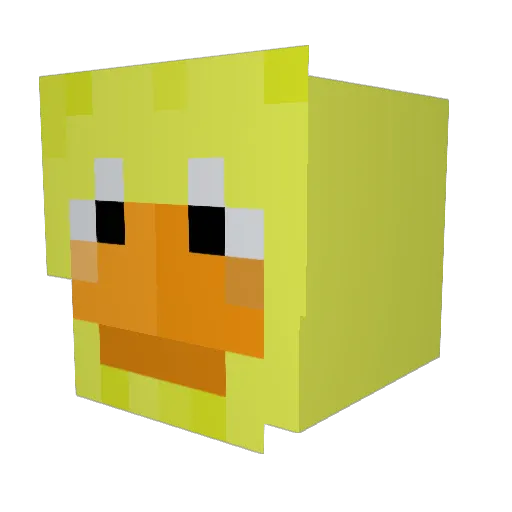 coolkittens1432 Minecraft avatar head, 3D render