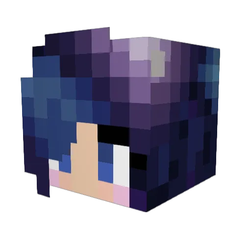 coolkittygamer20 Minecraft avatar head, 3D render