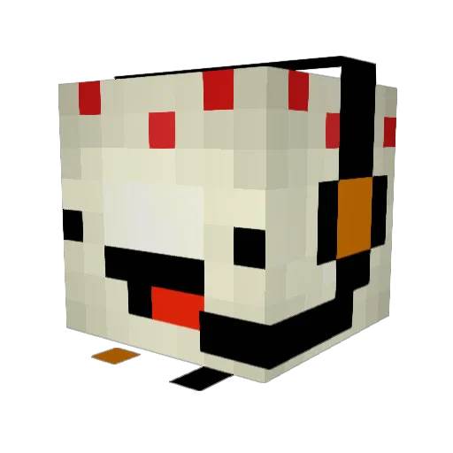 coollawboy Minecraft avatar head, 3D render