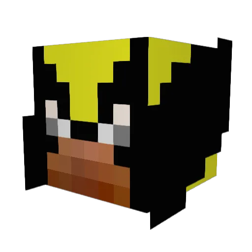 coolmagool Minecraft avatar head, 3D render