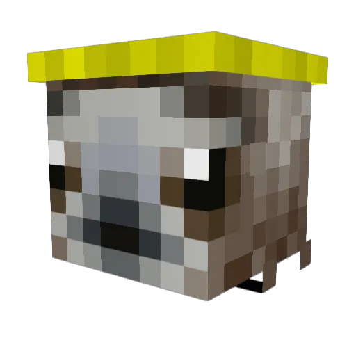 coolman3336 Minecraft avatar head, 3D render