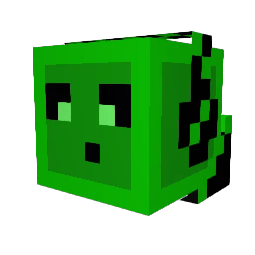coolmanandboy Minecraft avatar head, 3D render