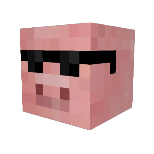 coolmanofwonder Minecraft avatar head, 3D render