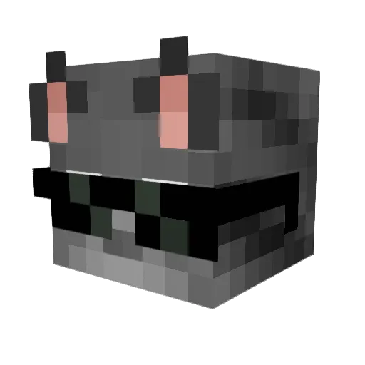 coolmansky Minecraft avatar head, 3D render