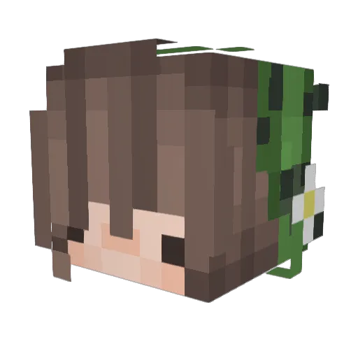 coolmoneyswag Minecraft avatar head, 3D render