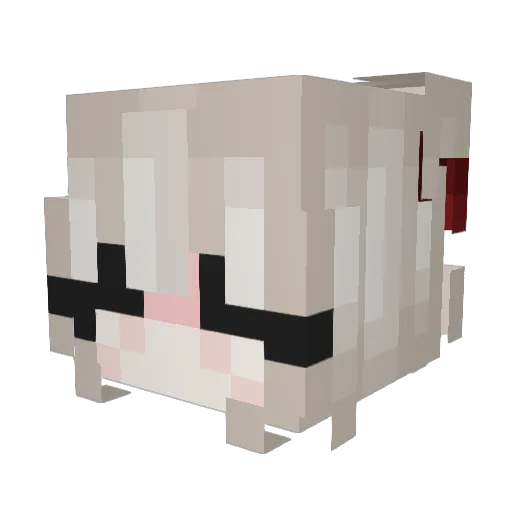 coolness3000 Minecraft avatar head, 3D render