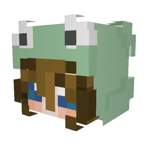 coolnewfish Minecraft avatar head, 3D render
