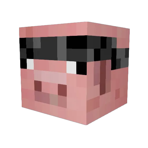 coolninja2122 Minecraft avatar head, 3D render