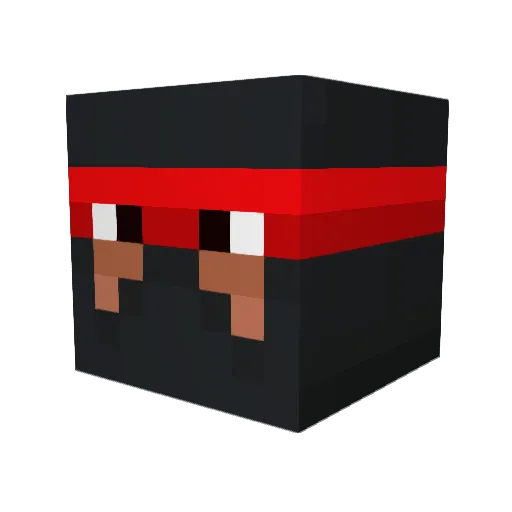 coolninja9812 Minecraft avatar head, 3D render