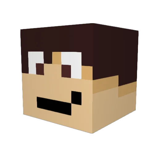 coolninjacat123 Minecraft avatar head, 3D render