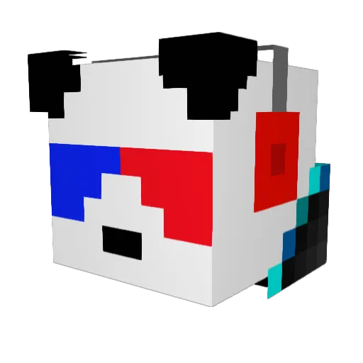 coolpanda12345 Minecraft avatar head, 3D render
