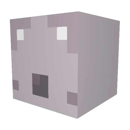 coolpass123 Minecraft avatar head, 3D render