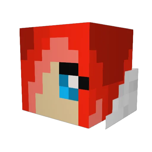 coolperson112233 Minecraft avatar head, 3D render