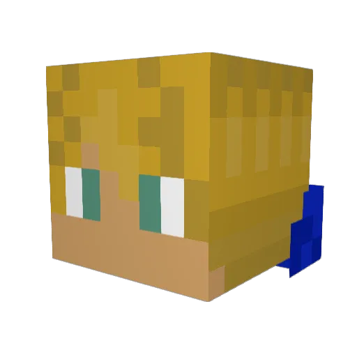coolpie21 Minecraft avatar head, 3D render