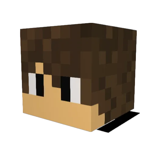 coolpig5342 Minecraft avatar head, 3D render