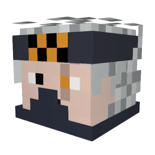 coolrex09 Minecraft avatar head, 3D render