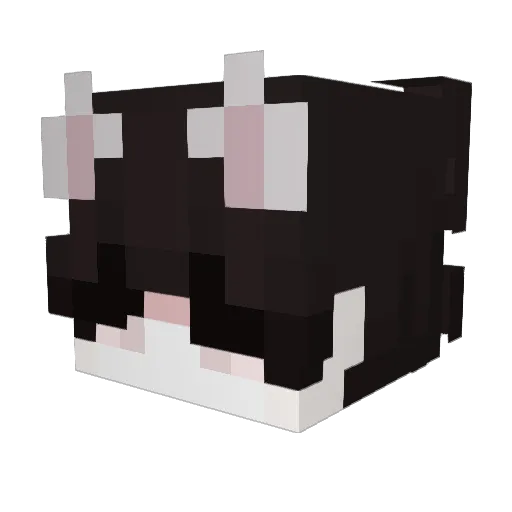 coolroom100809 Minecraft avatar head, 3D render