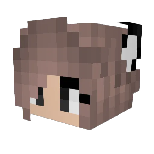 coolshayla99 Minecraft avatar head, 3D render