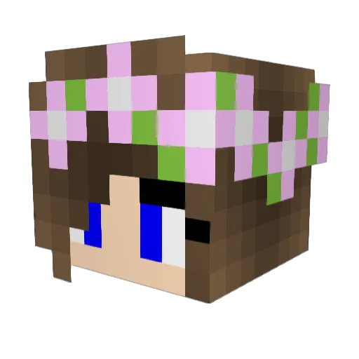 coolsims3 Minecraft avatar head, 3D render