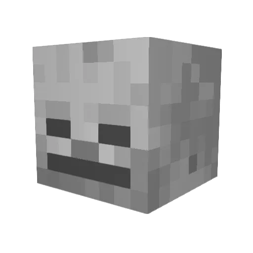 coolskeleton5956 Minecraft avatar head, 3D render