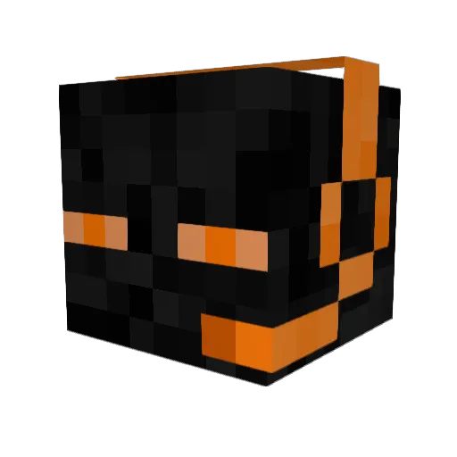 coolsmartkid Minecraft avatar head, 3D render