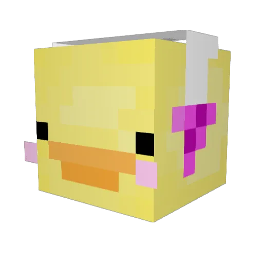 coolsprinkles Minecraft avatar head, 3D render