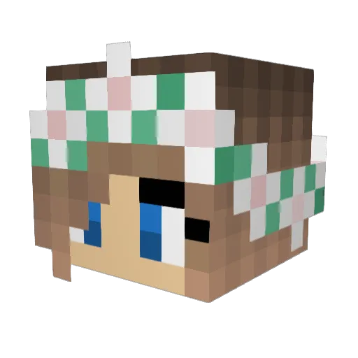 coolstella Minecraft avatar head, 3D render