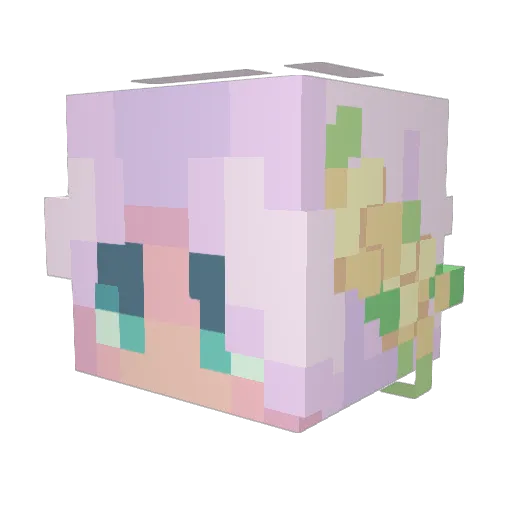 coolting Minecraft avatar head, 3D render