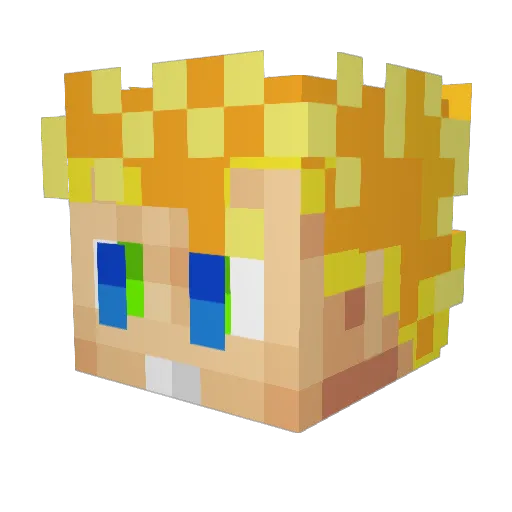 coolton04 Minecraft avatar head, 3D render