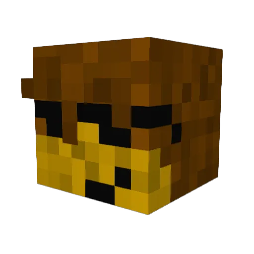cooltru Minecraft avatar head, 3D render