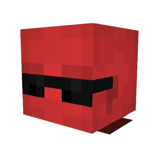 coolturtle0512 Minecraft avatar head, 3D render