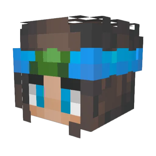 coolusername199 Minecraft avatar head, 3D render