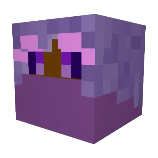 coolvalde2659 Minecraft avatar head, 3D render