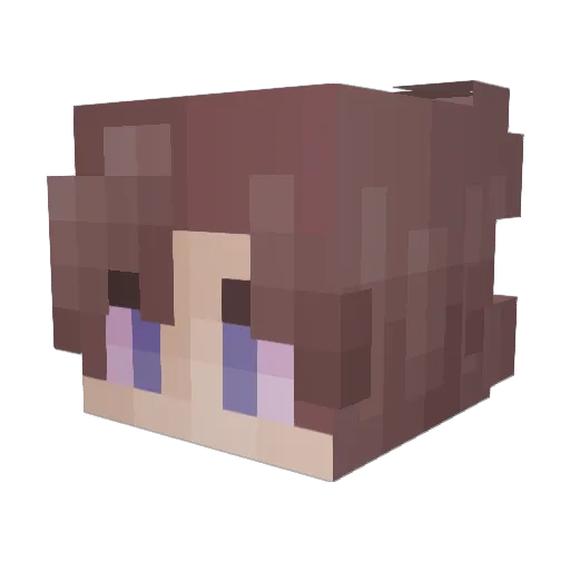 coolwizerd123 Minecraft avatar head, 3D render
